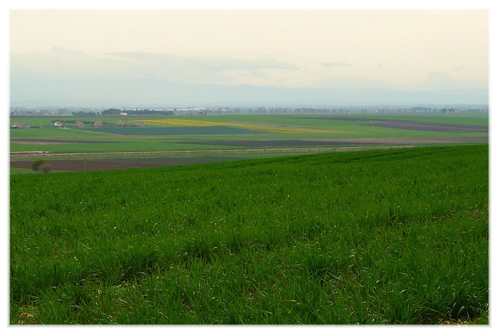 Le Steppe del Gargano